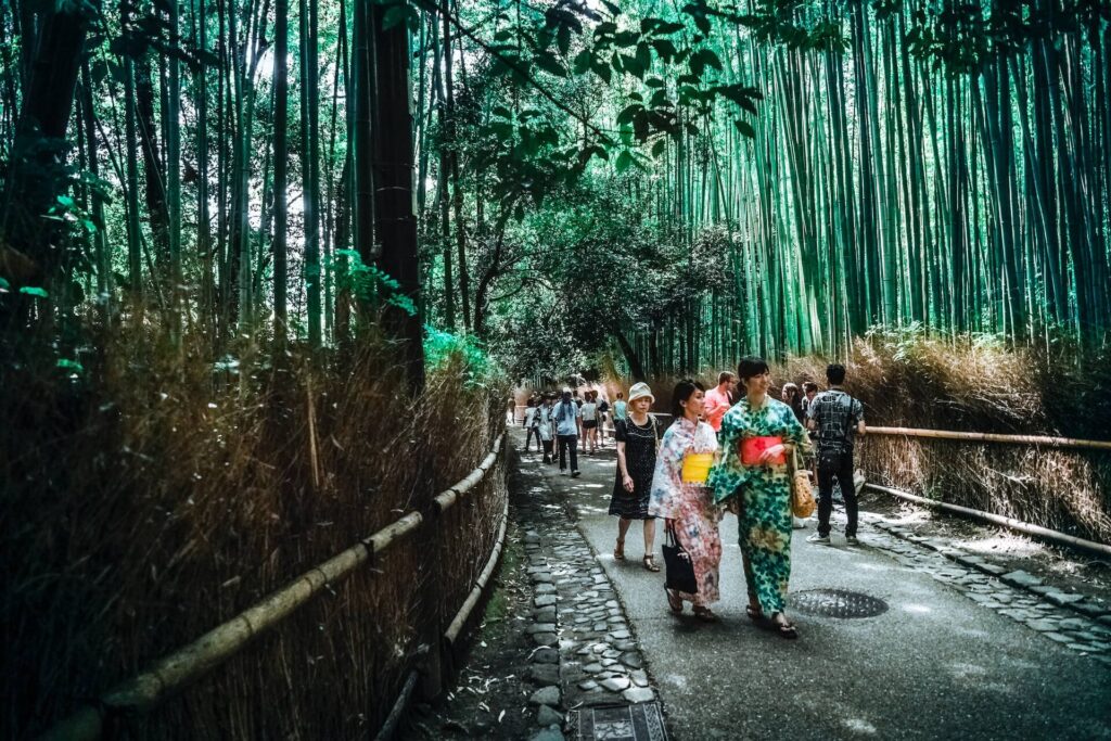 日本観光竹林イメージ